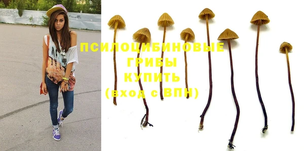 СК Магас