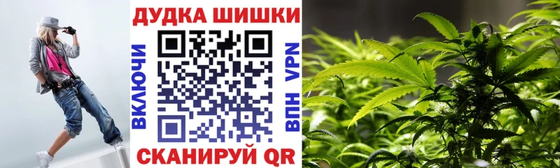 Марихуана сатива  Цоци-Юрт 